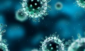 Je epidemie koronaviru použití biologické zbraně v praxi?